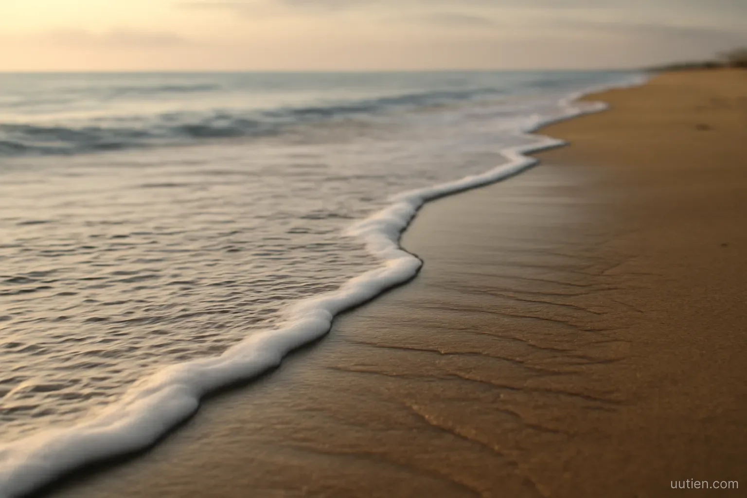 a tide line receding on wet sand leaving marks behind, early morning beach, no people